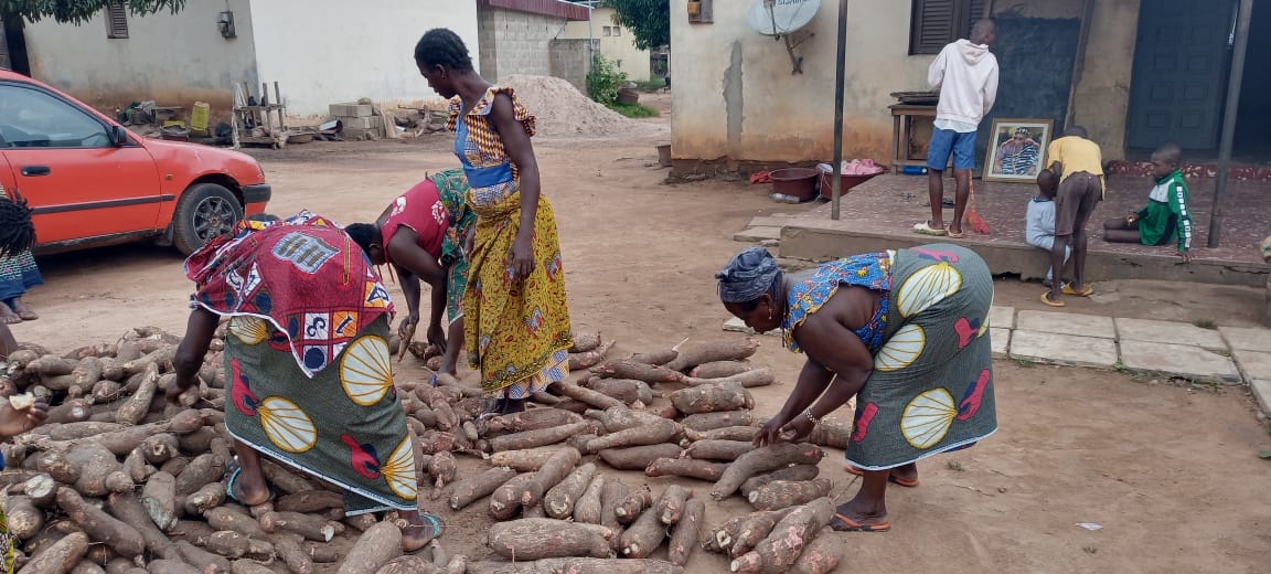 LES FEMMES DE OUAOUAKRO AU COEUR DU DEVELOPPEMENT DE LEUR VILLAGE PAR L'AGRICULTURE